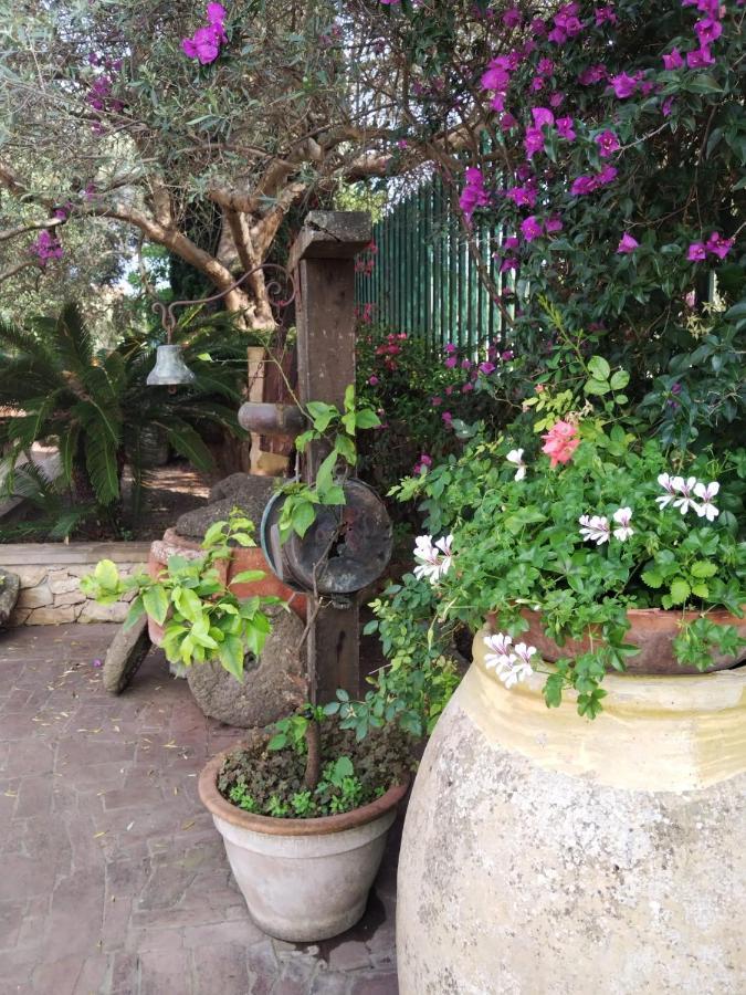 شقة Il Casale Del Cortonese ساساري المظهر الخارجي الصورة